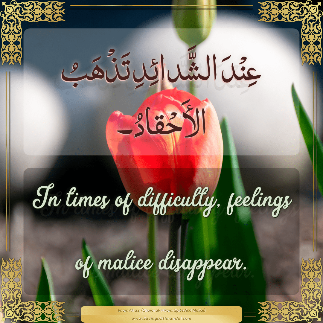 In times of difficulty, feelings of malice disappear.